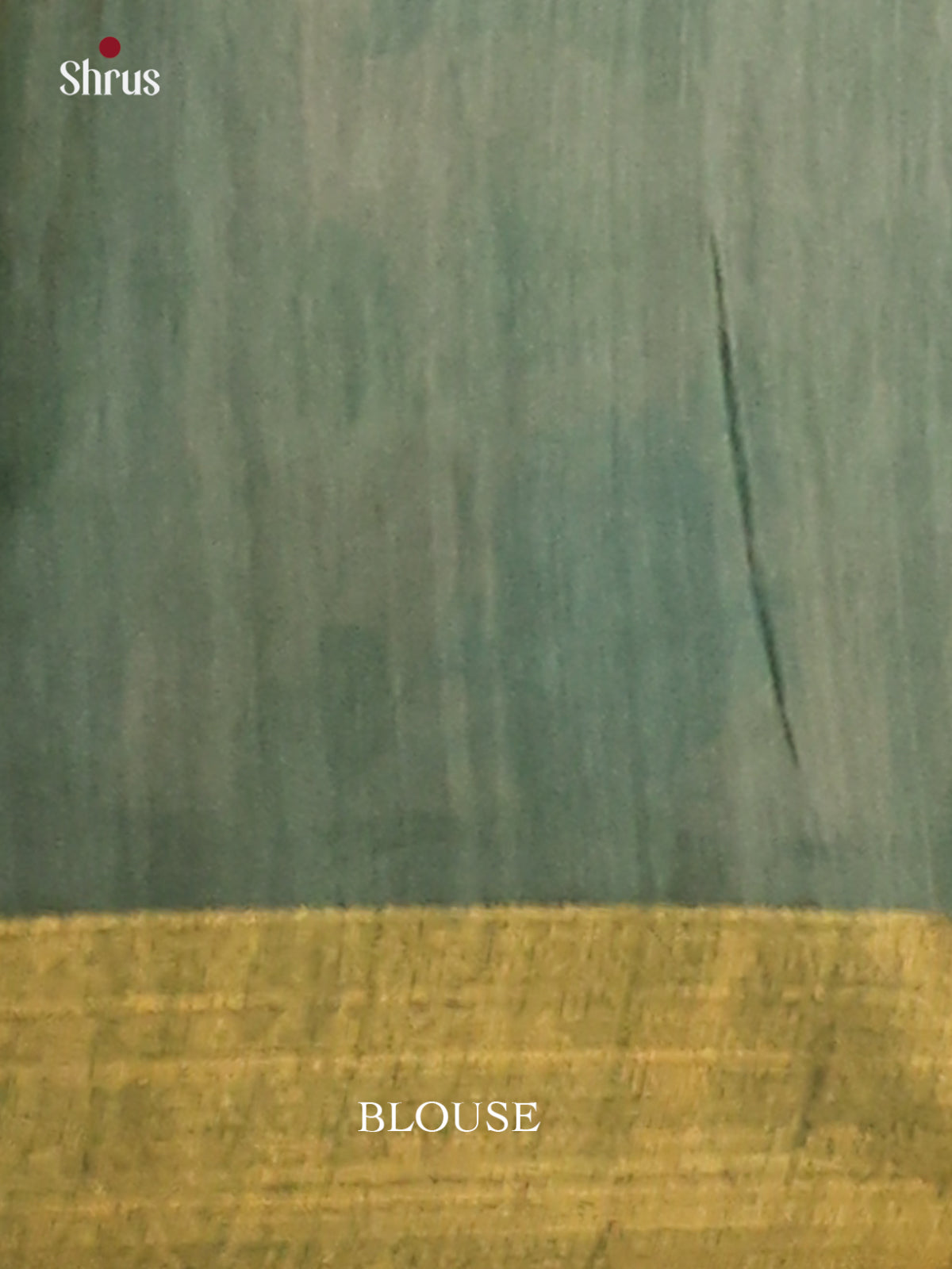 Parrot Green & Bottle Green - Champa Semi Tussar Saree - DCS11037 - Shop on Shrus.com