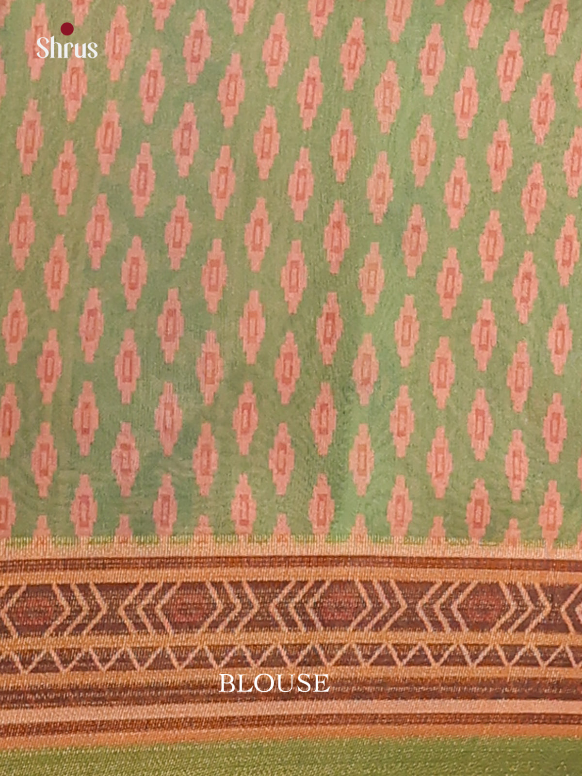 Dark brown & Green - Champa Semitussa Saree - DCS11091 - Shop on Shrus.com