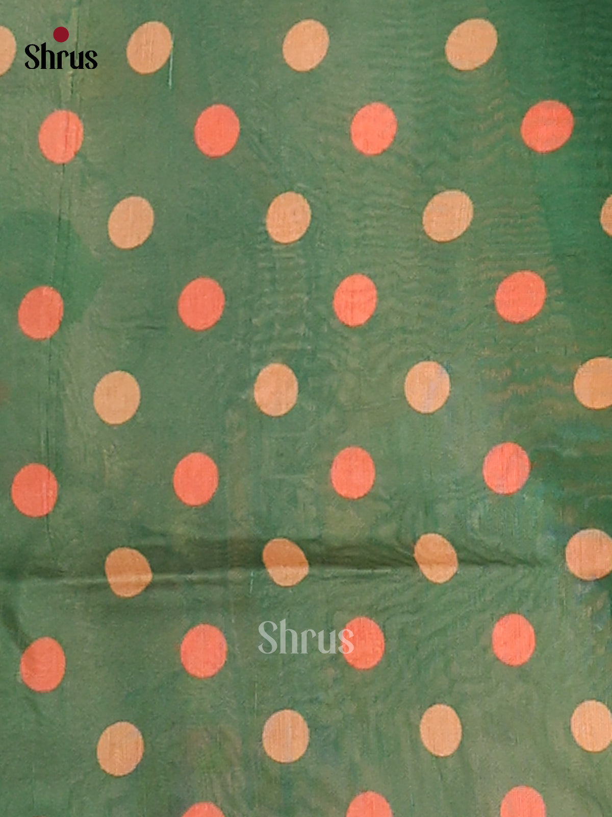 Light green & dark green - Champa Semi tussar Saree - DCS11100 - Shop on Shrus.com
