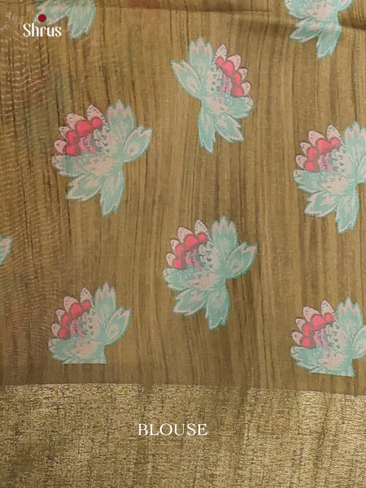 Pista Green & Dark Green - Champa Semitussa Saree - DCS11131 - Shop on Shrus.com