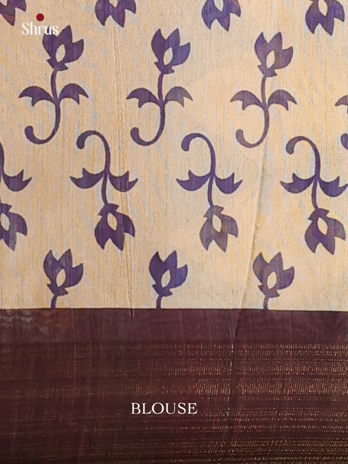 Sky blue & Dark Brown - Champa Semitussa Saree - DCS11153 - Shop on Shrus.com