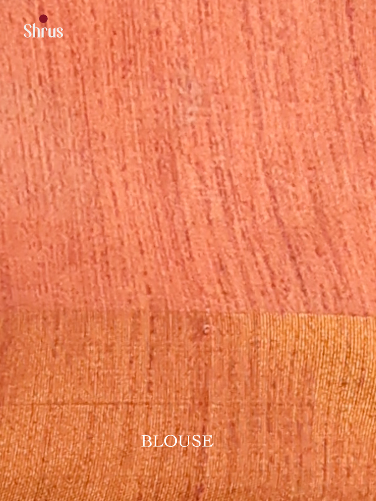 Cream & Brown - Champa Semi Tussar Saree - DCS11155 - Shop on Shrus.com