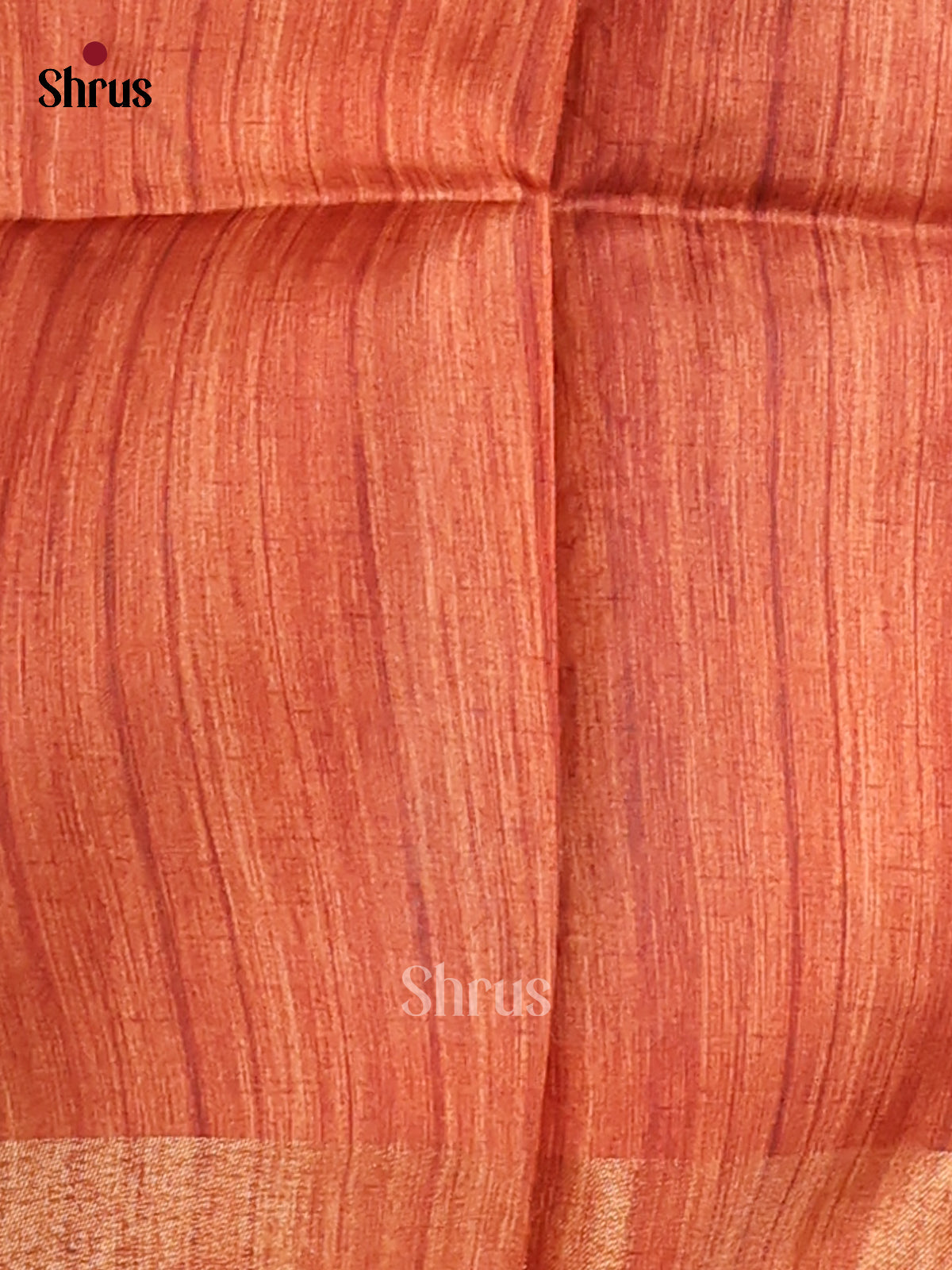 Cream & brown - Champa Semitussa Saree - DCS11192 - Shop on Shrus.com