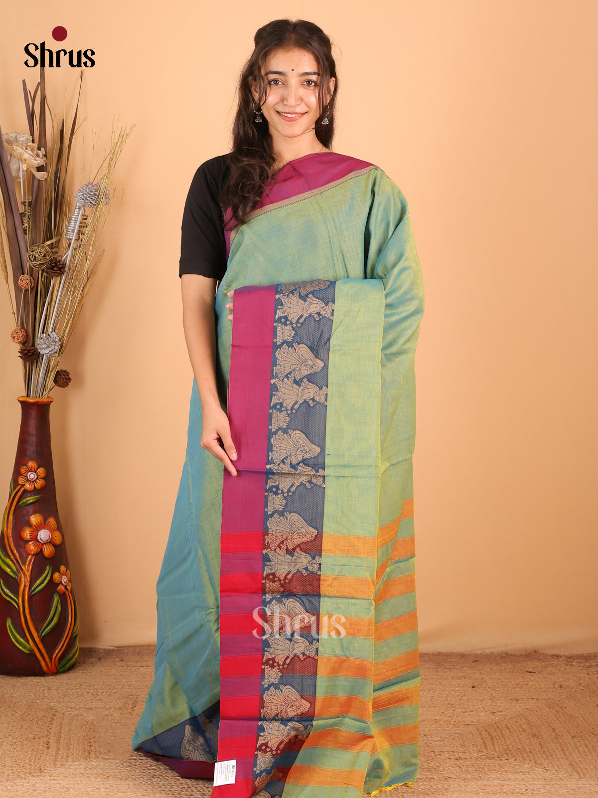 Pastel Green & Blue- Narayanpet Cotton Saree - Shop on Shrus.com