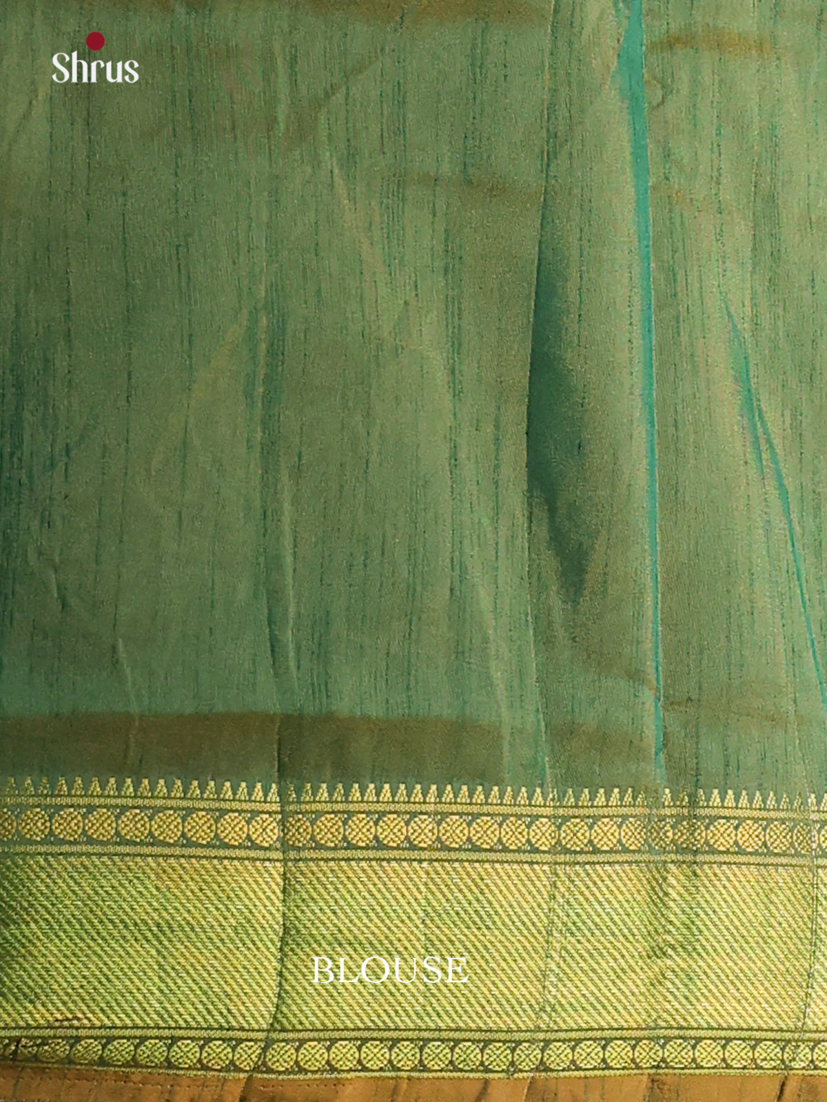 Parrot Green & Sandal - Semi Patola Saree - DCS22002 - Shop on Shrus.com