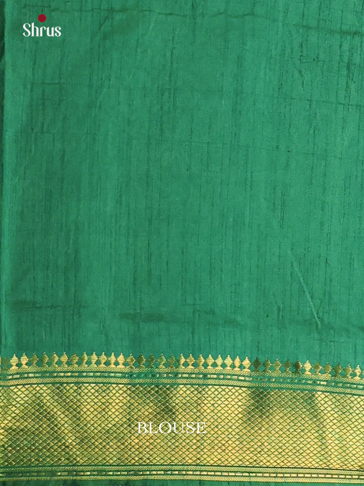 Black & Green - Semi Patola Saree - DCS22005 - Shop on Shrus.com