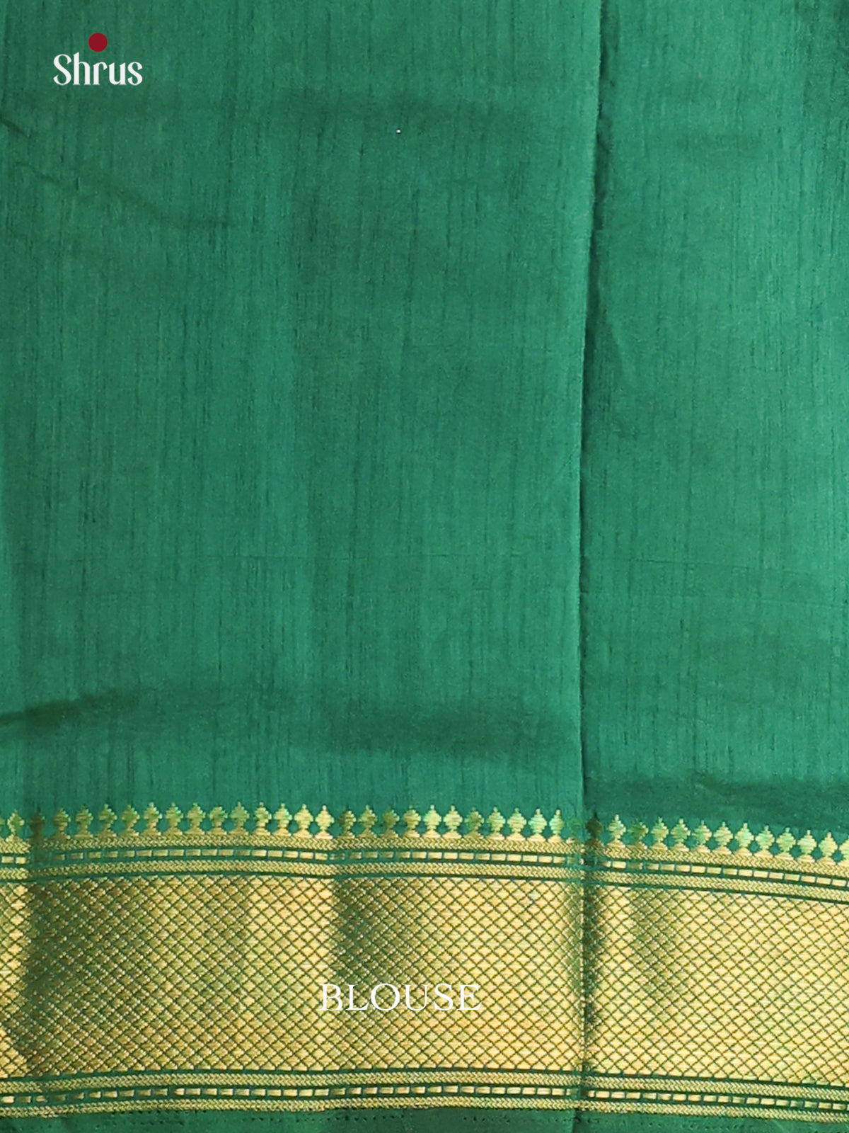 Black & Green - Semi Patola Saree - DCS22006 - Shop on Shrus.com