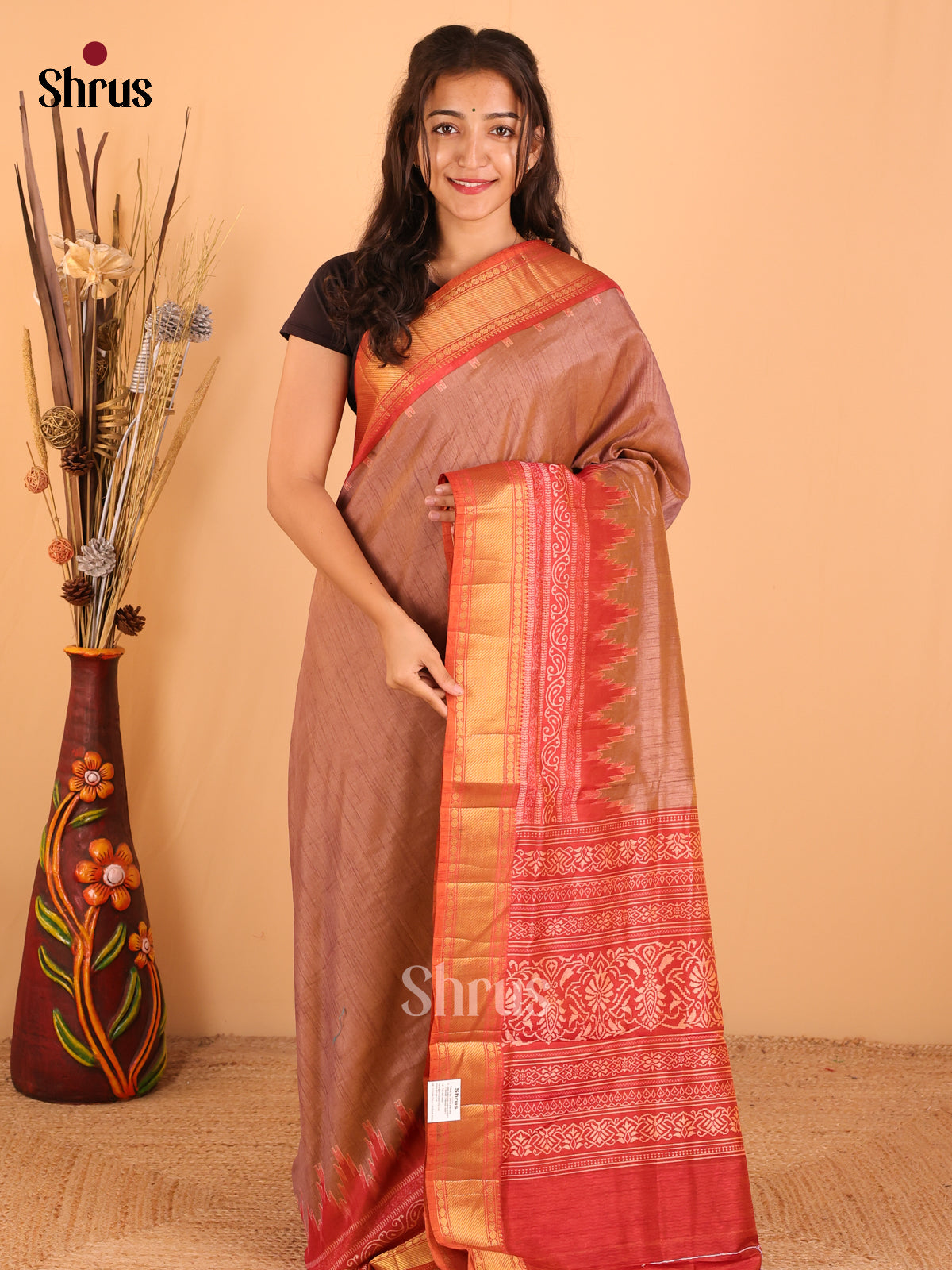Light brown & Maroon - Semi Patola Saree - DCS22010 - Shop on Shrus.com