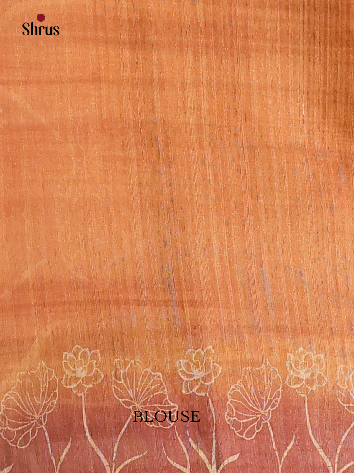 Light Brown - Semi kantha Saree - DCS25032 - Shop on Shrus.com