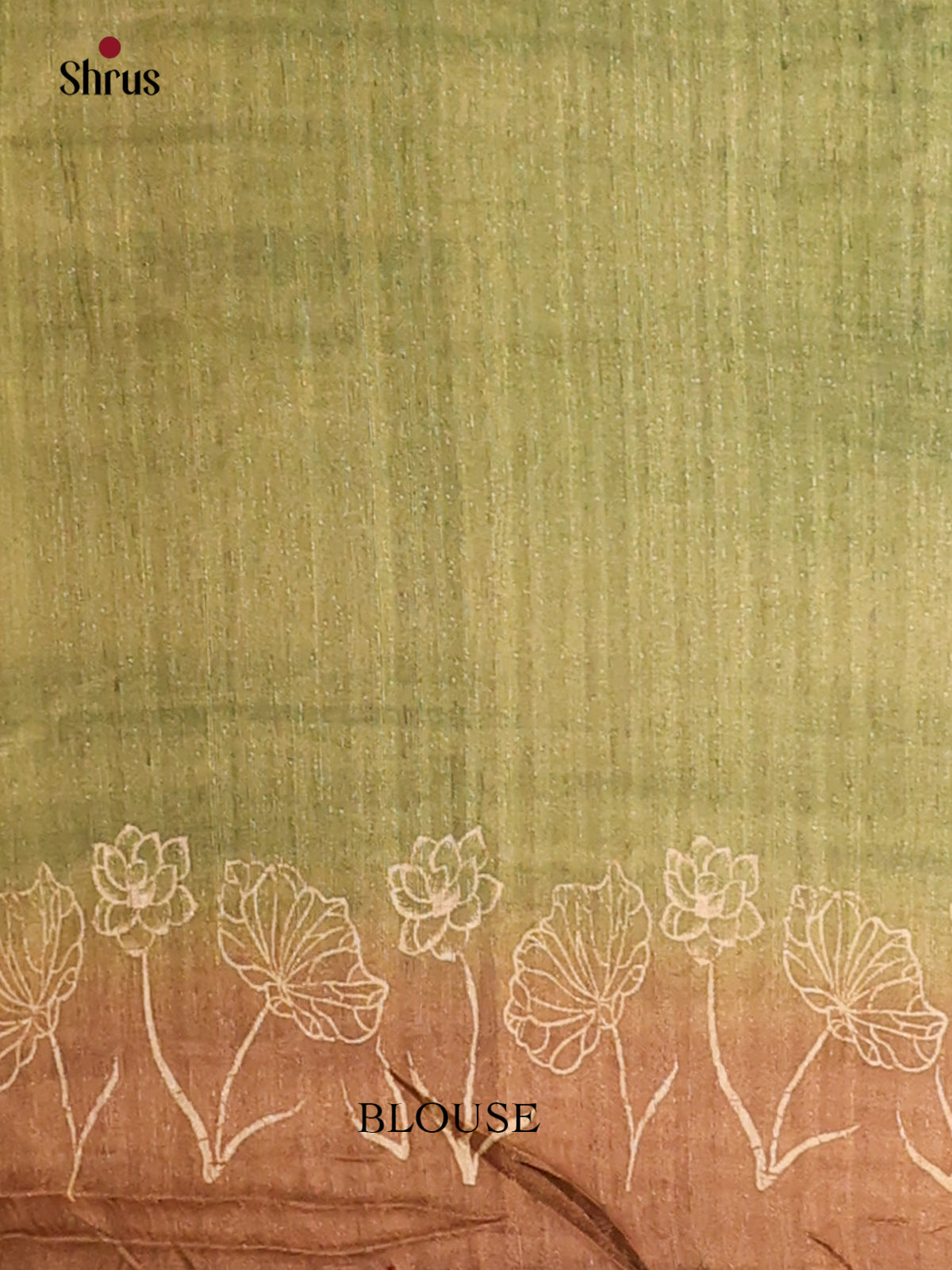 Light green & brown - Semi kantha Saree - DCS25033 - Shop on Shrus.com