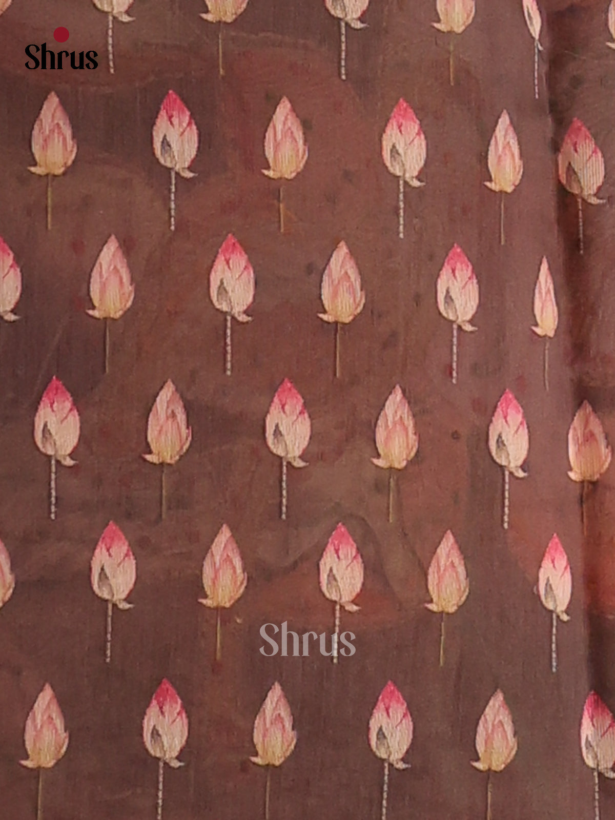 Grey - Semi kantha Saree - DCS25058 - Shop on Shrus.com