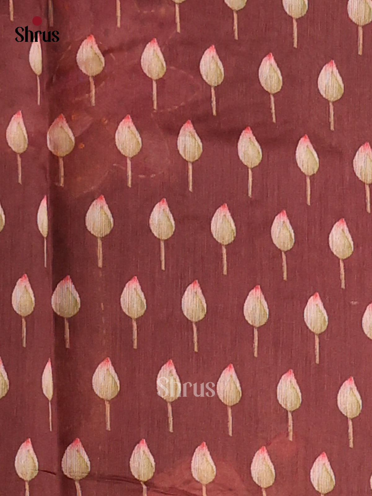 Brown - Semi kantha Saree - DCS25062 - Shop on Shrus.com