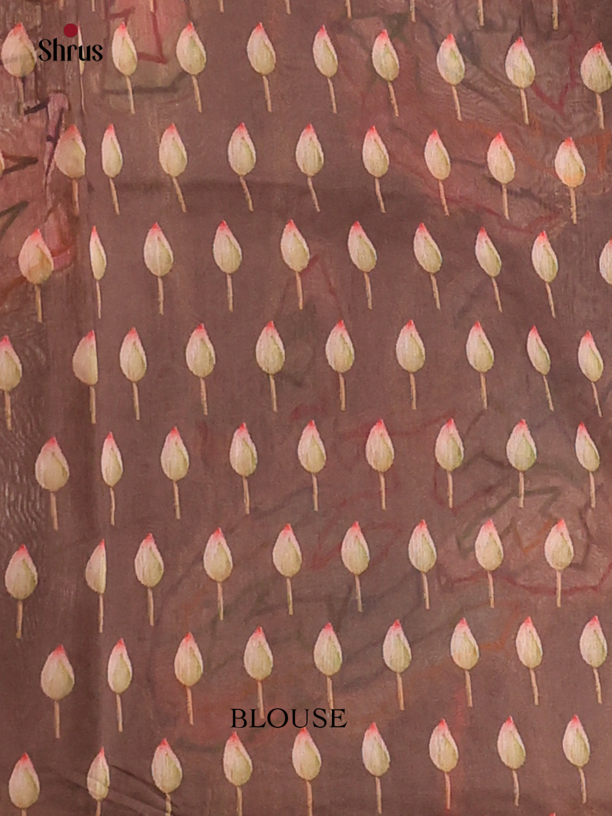 Brown - Semi kantha Saree - DCS25065 - Shop on Shrus.com