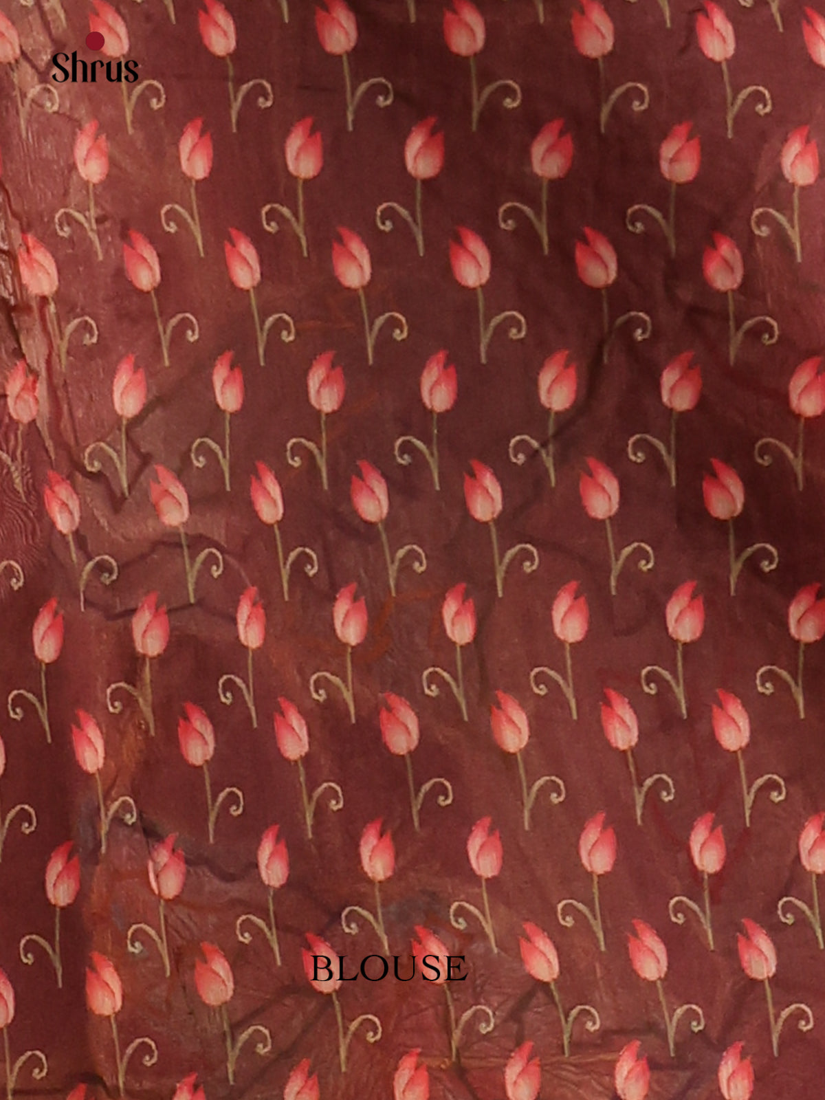 Dark Brown - Semi kantha Saree - DCS25066 - Shop on Shrus.com