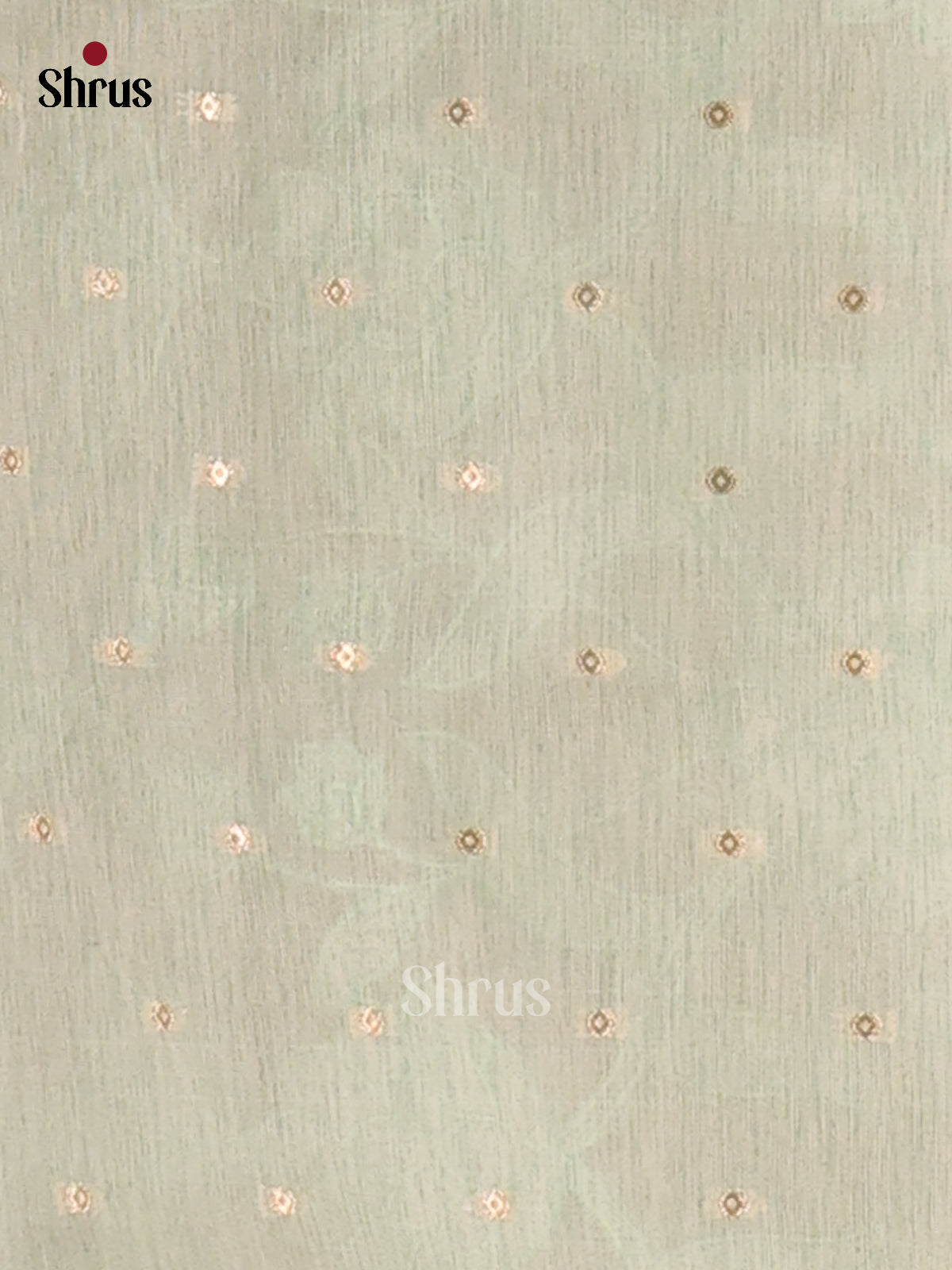 Pastel Green - Semi kantha Saree - DCS25088 - Shop on Shrus.com