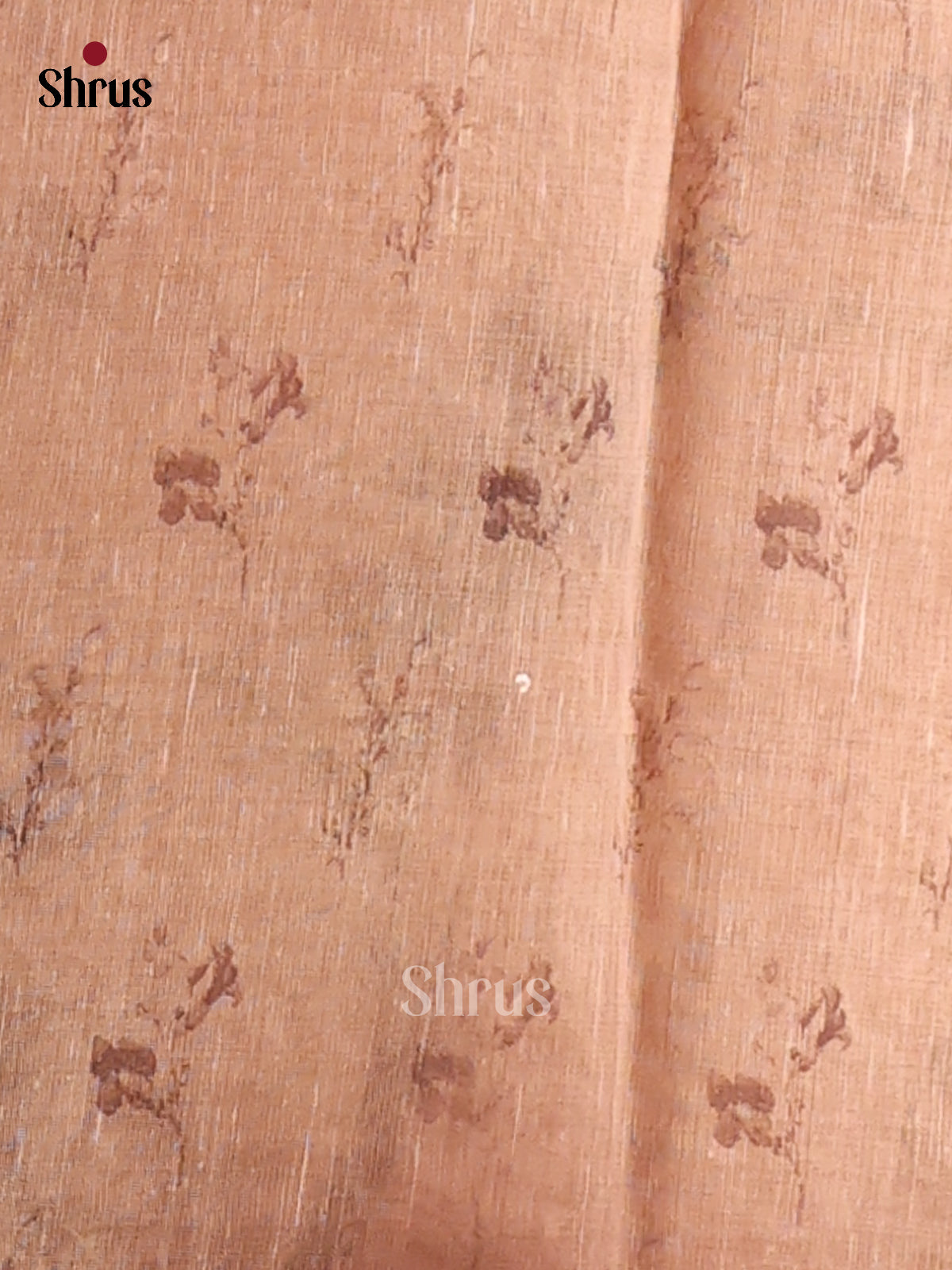 Brown & Sandal - Semi kantha Saree - DCS25098 - Shop on Shrus.com