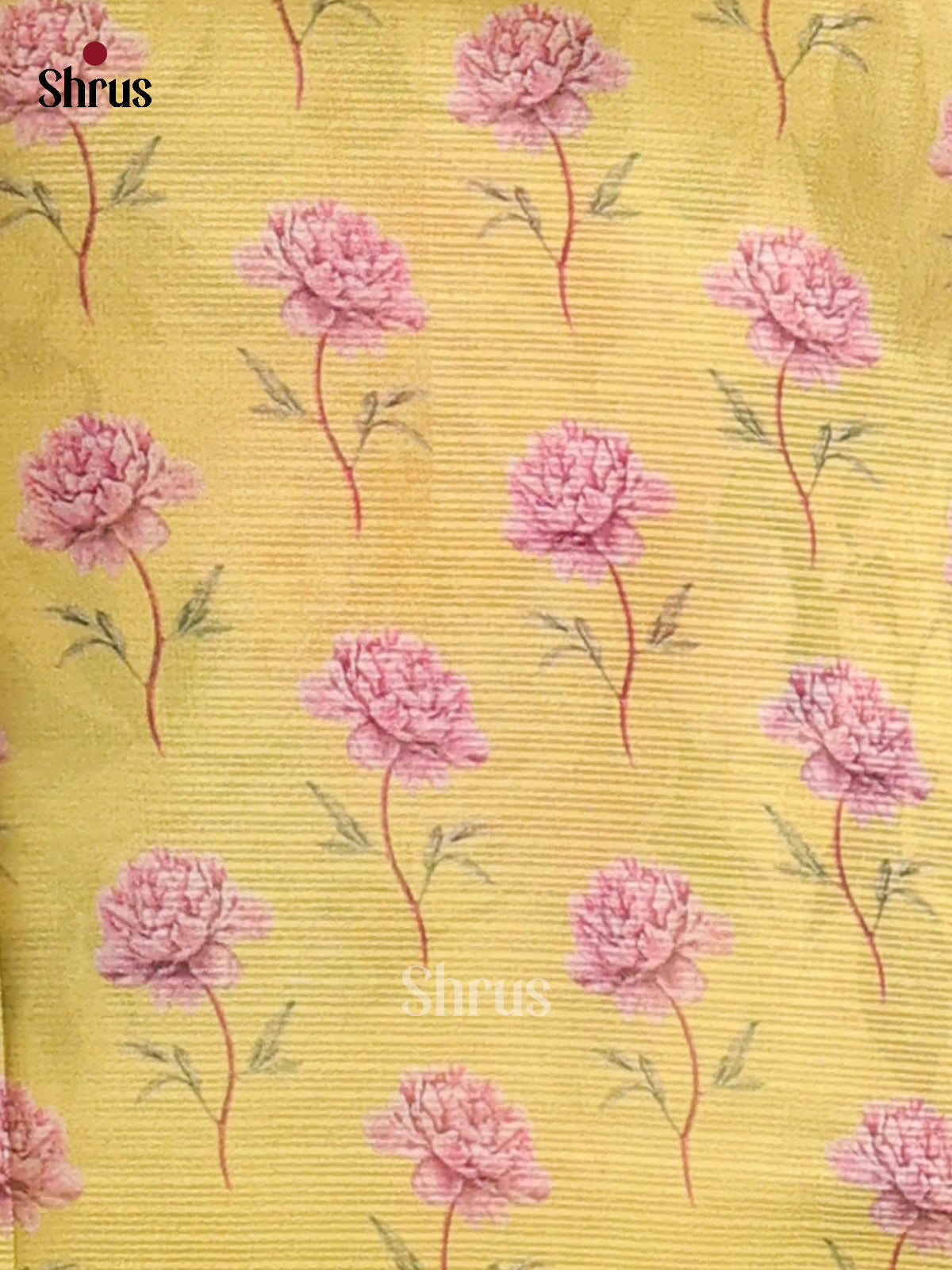 Pista Green - Semi kantha Saree - DCS25109 - Shop on Shrus.com