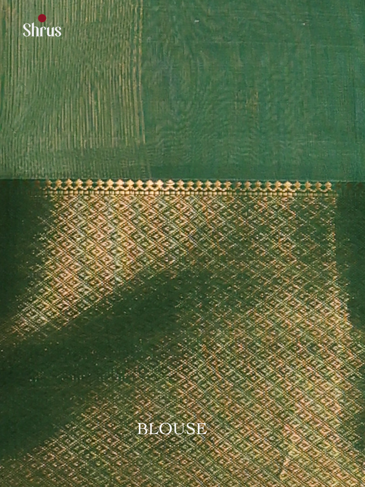 Pastel Green & Dark Green - Maheswari silk cotton Saree - DCS27126 - Shop on Shrus.com