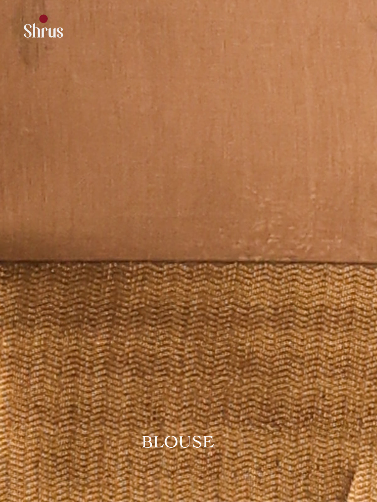 Light Brown - Maheswari silk cotton Saree - DCS27162 - Shop on Shrus.com