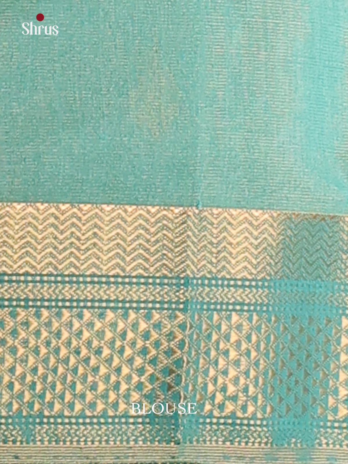 Pastel Green - Maheswari silk cotton Saree - DCS27198 - Shop on Shrus.com