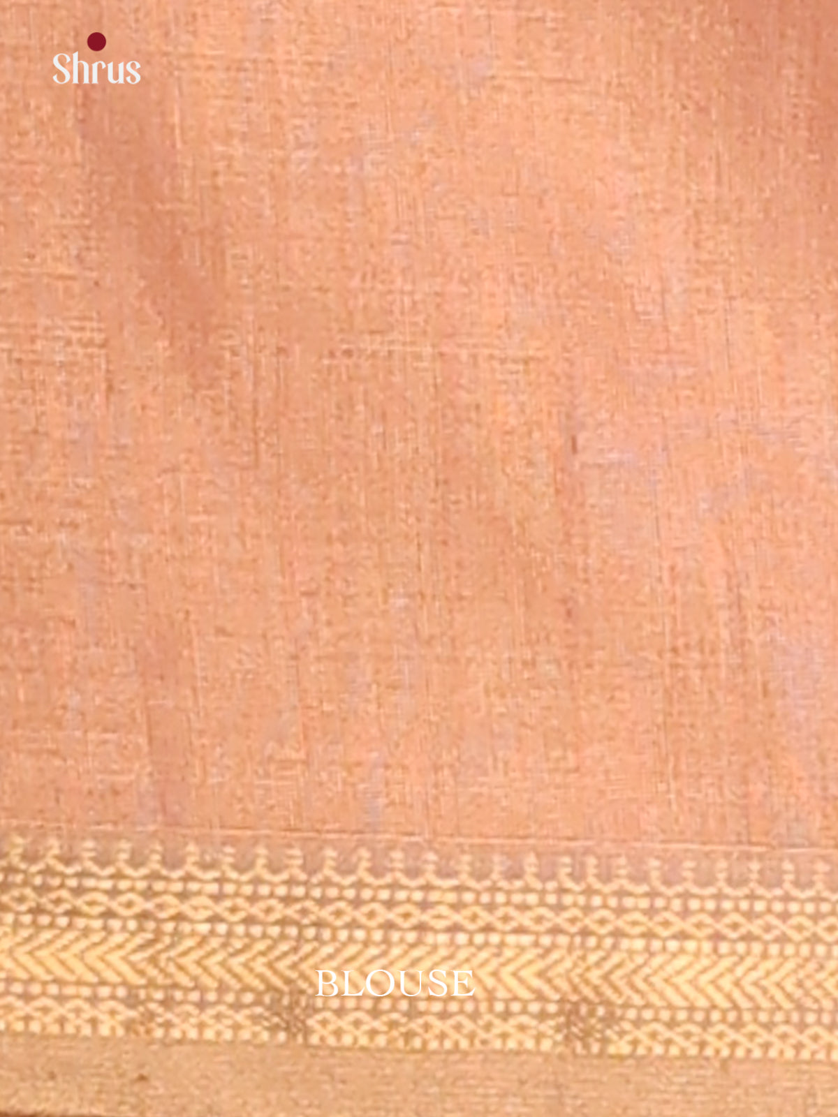 Beige - Maheswari silk cotton Saree - DCS27204 - Shop on Shrus.com
