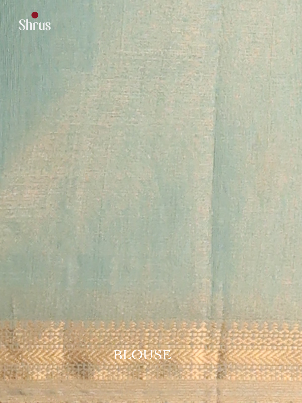 Pastel Blue - Maheswari silk cotton Saree - DCS27212 - Shop on Shrus.com