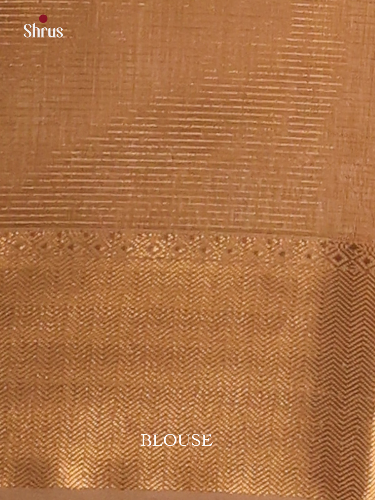 Light Brown - Maheswari silk cotton Saree - DCS27233 - Shop on Shrus.com