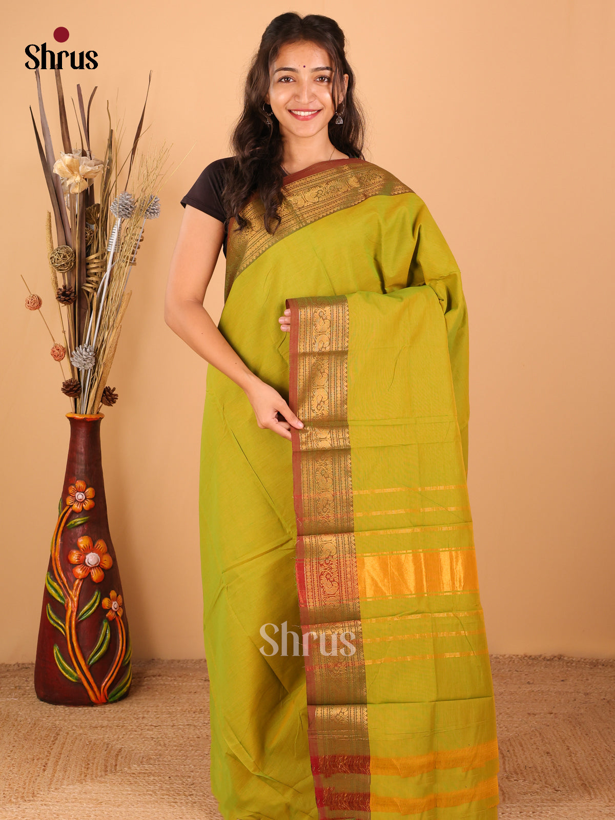 Parrot Green with Brown - Chettinad saree -DDS02046 - Shop on Shrus.com