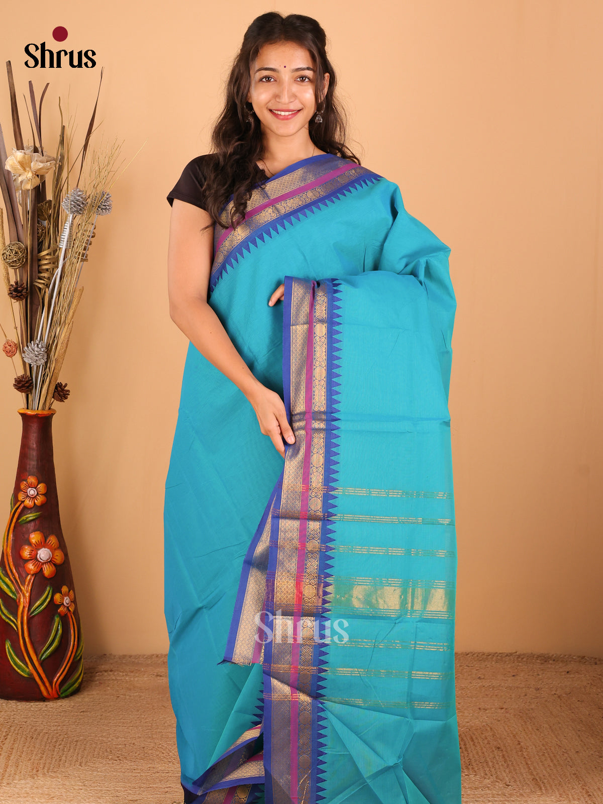 Blue with royal blue - Chettinad saree -DDS02078 - Shop on Shrus.com