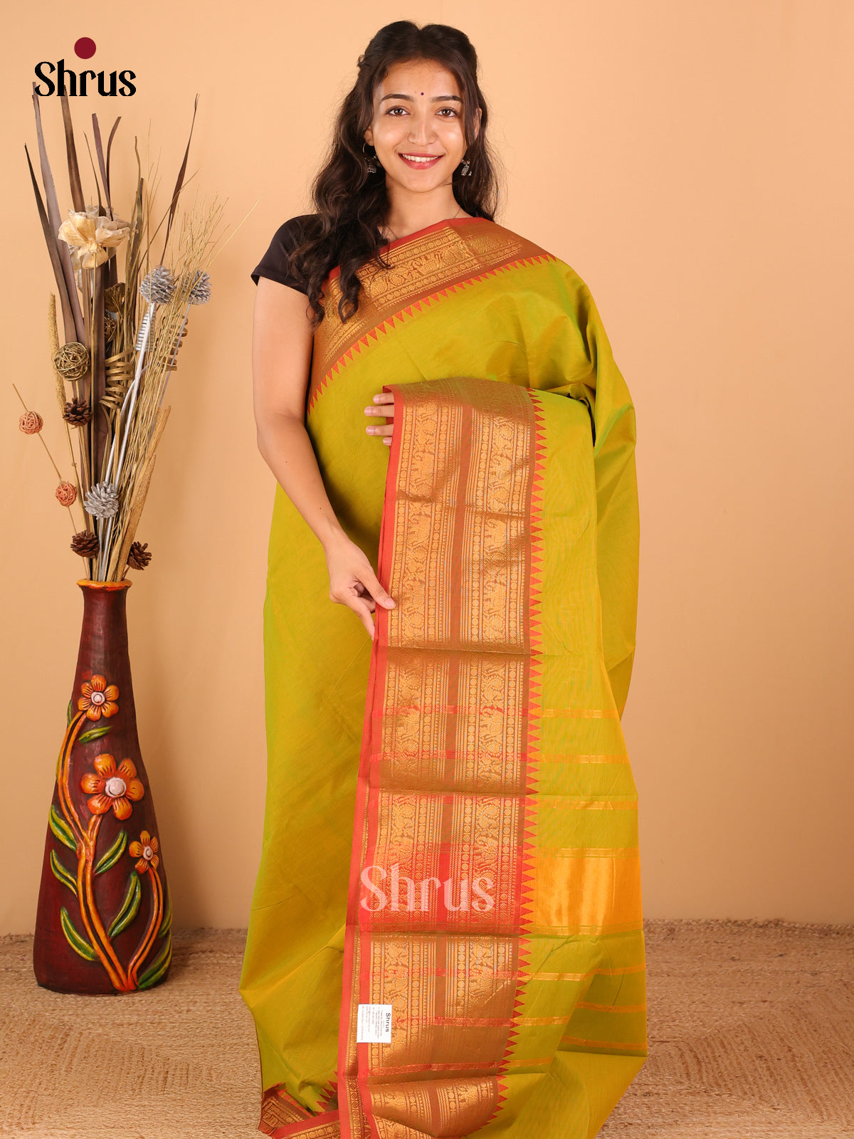 Green with Rust - Chettinad saree -DDS02140 - Shop on Shrus.com