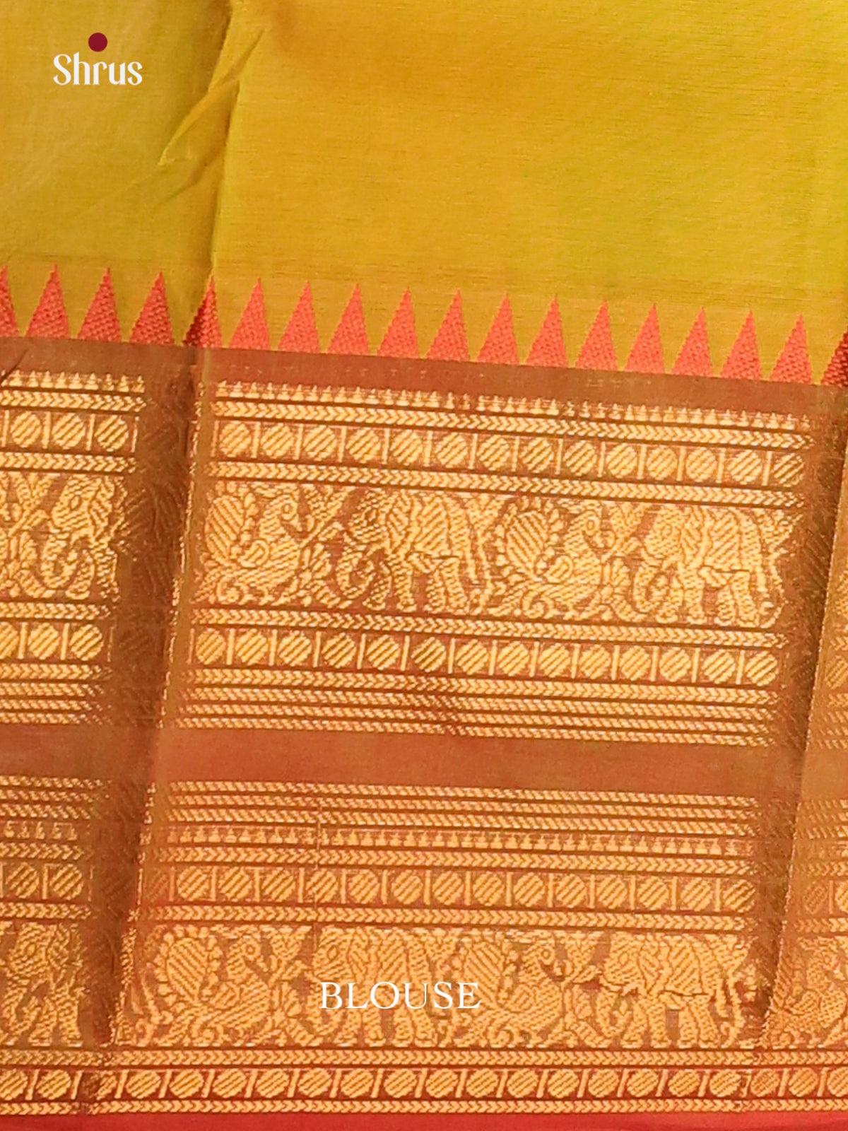 Green with Rust - Chettinad saree -DDS02140 - Shop on Shrus.com