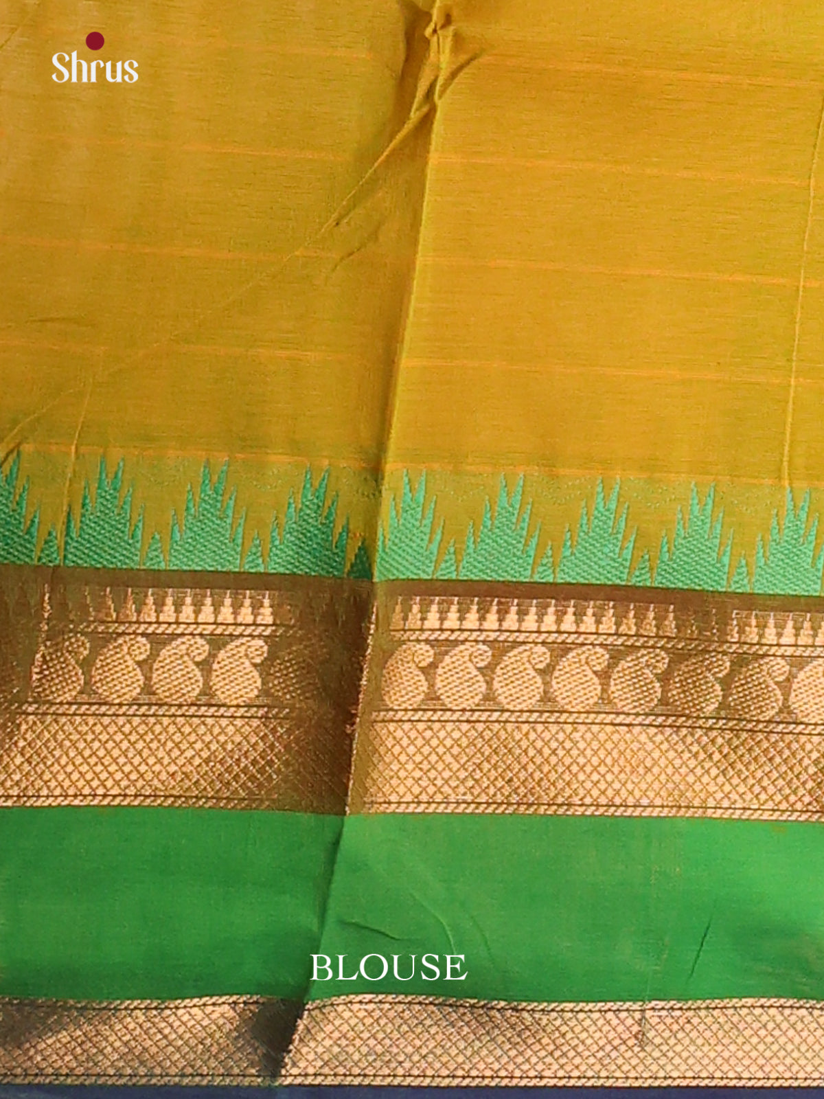 Parrrot Green with Blue - Chettinad saree -DDS02142 - Shop on Shrus.com