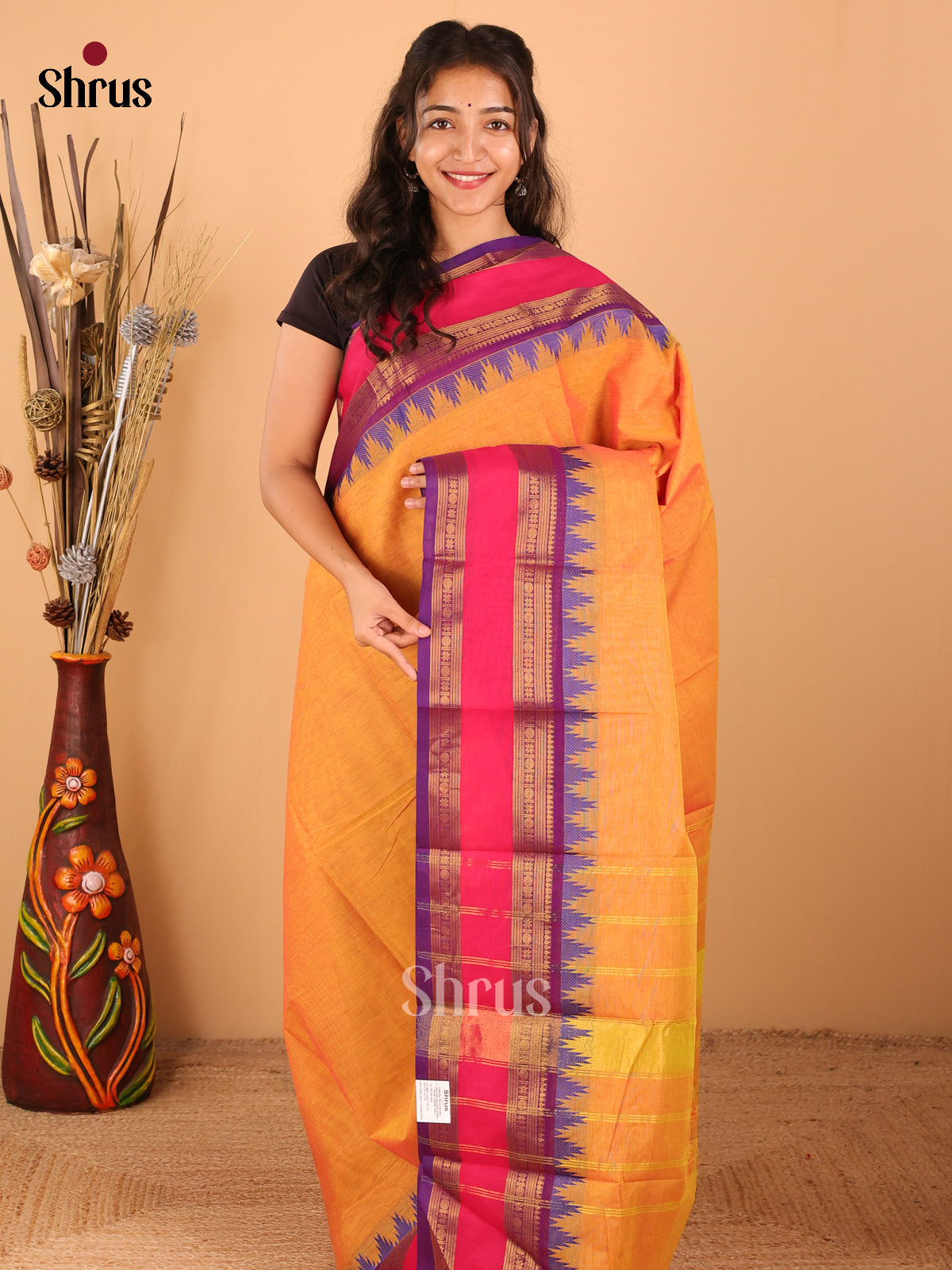 Dual Done Mustard with Purple - Chettinad saree -DDS02148 - Shop on Shrus.com