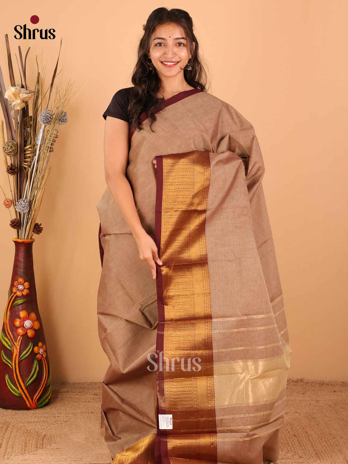 Light Brown with Brown - Chettinad saree -DDS02160 - Shop on Shrus.com