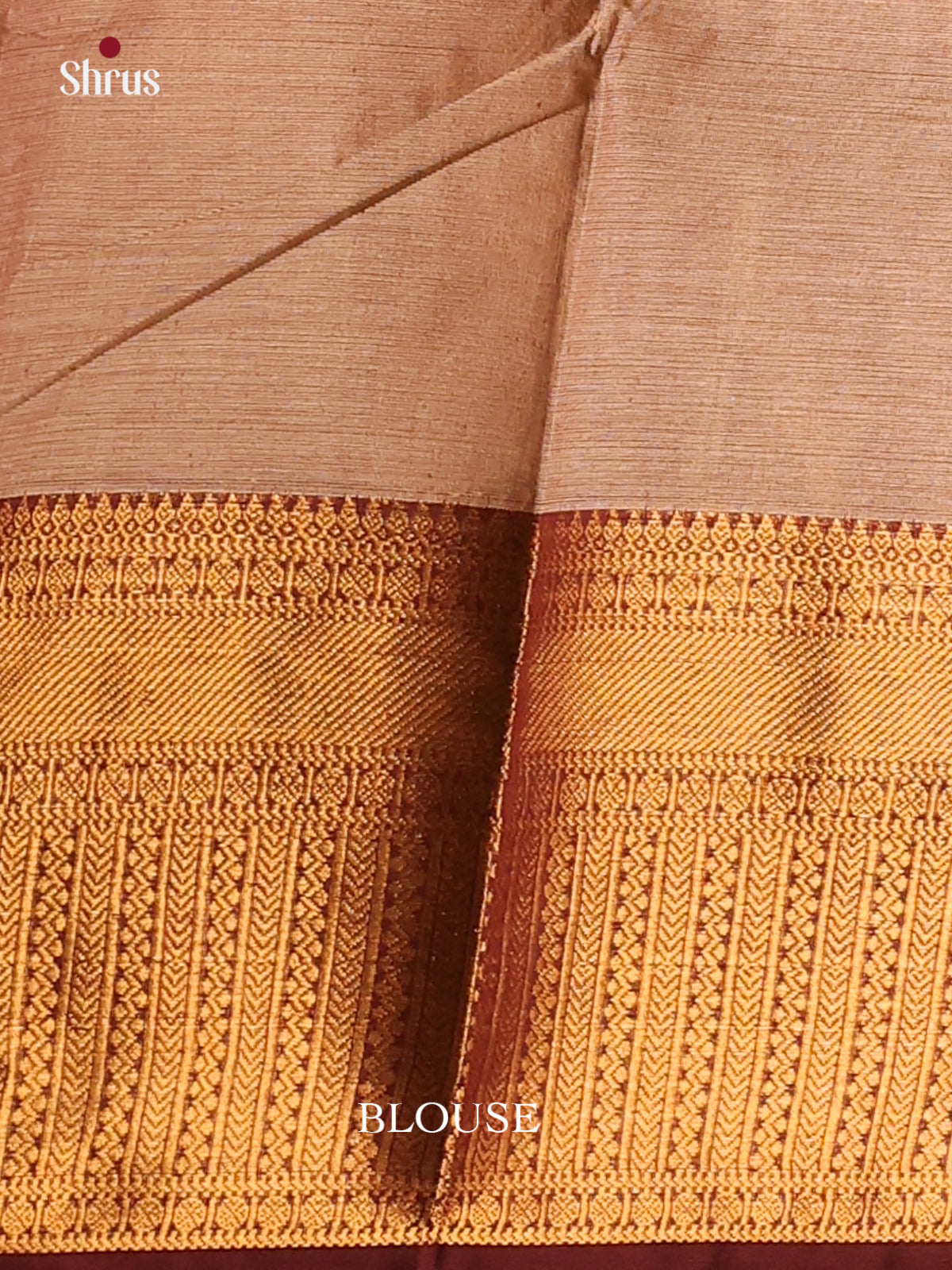 Light Brown with Brown - Chettinad saree -DDS02160 - Shop on Shrus.com