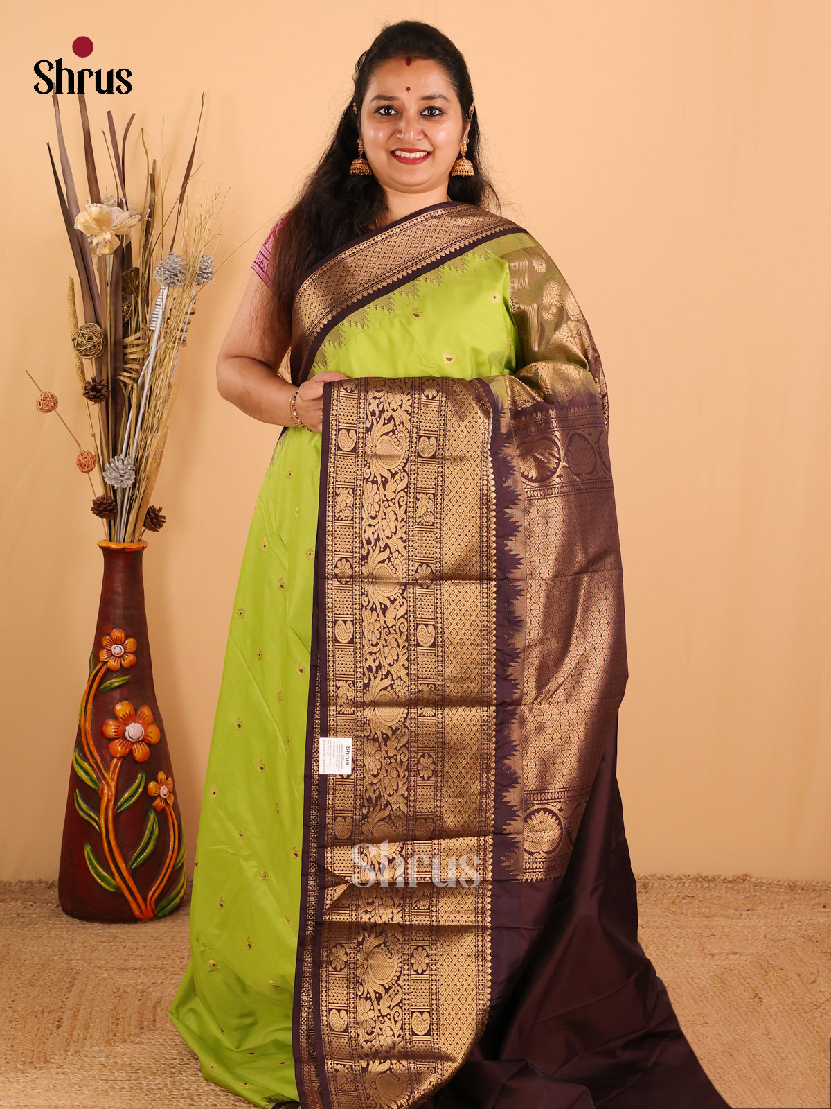 Parrot Green with Brown-Gadwal Half pure Saree - DDS04039 - Shop on Shrus.com