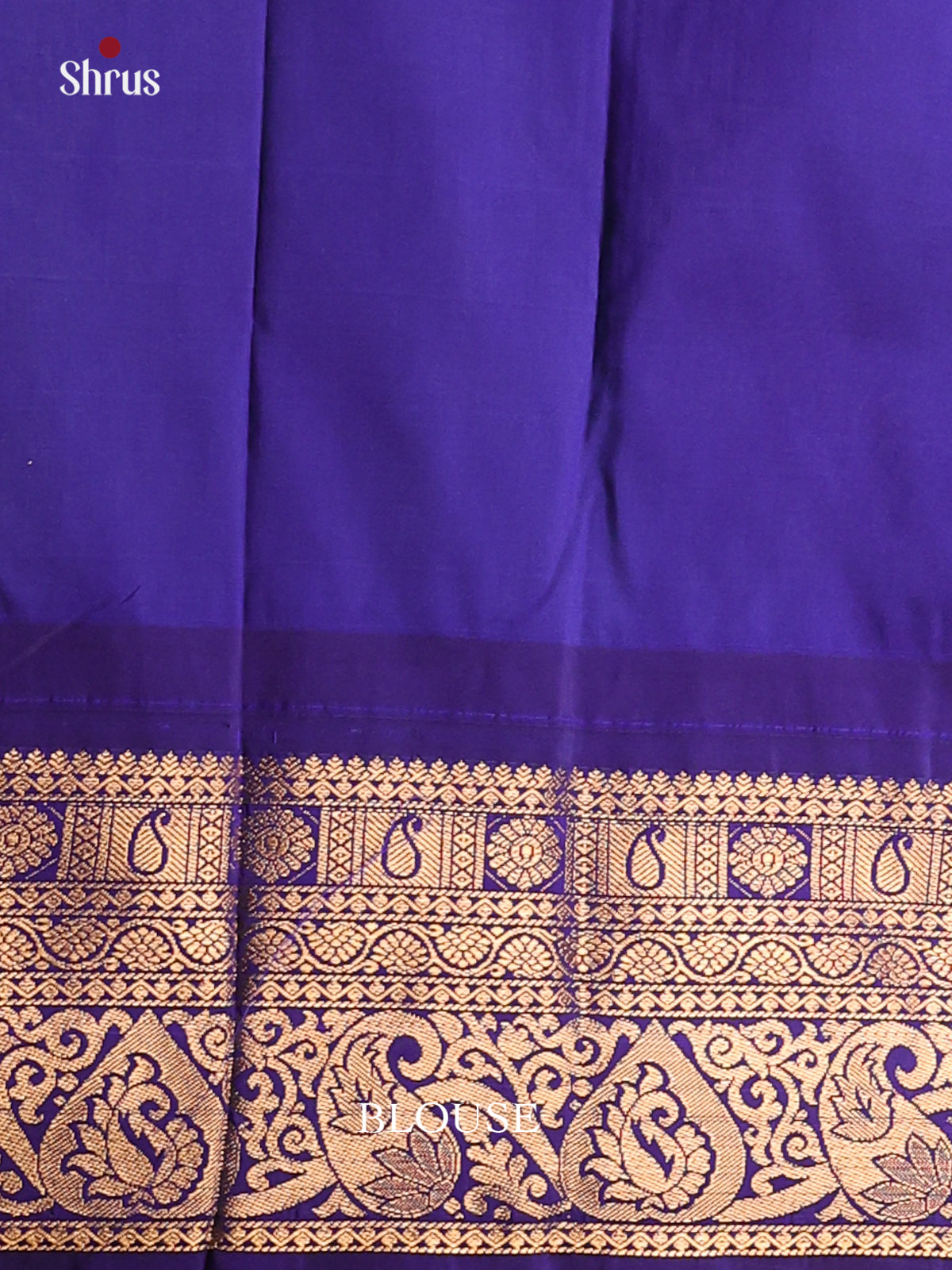 Pastel Green with Royal Blue-Gadwal Half pure Saree - DDS04070 - Shop on Shrus.com