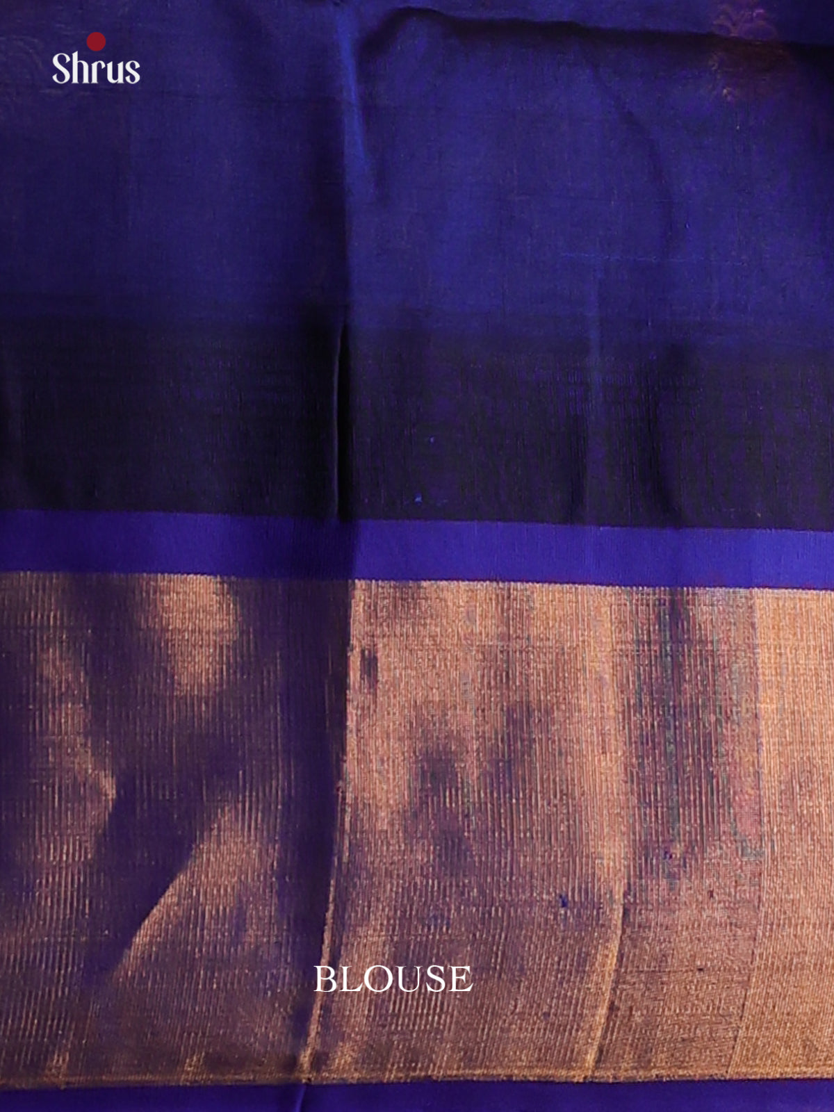 Parrot Green with Royal Blue-Silk Cotton Saree - DDS05008 - Shop on Shrus.com