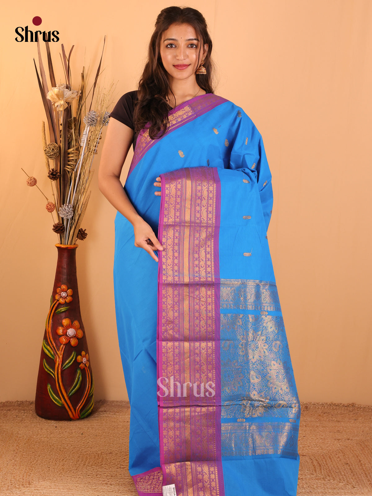 Sky blue with Purple - Chettinad saree-DDS05055 - Shop on Shrus.com