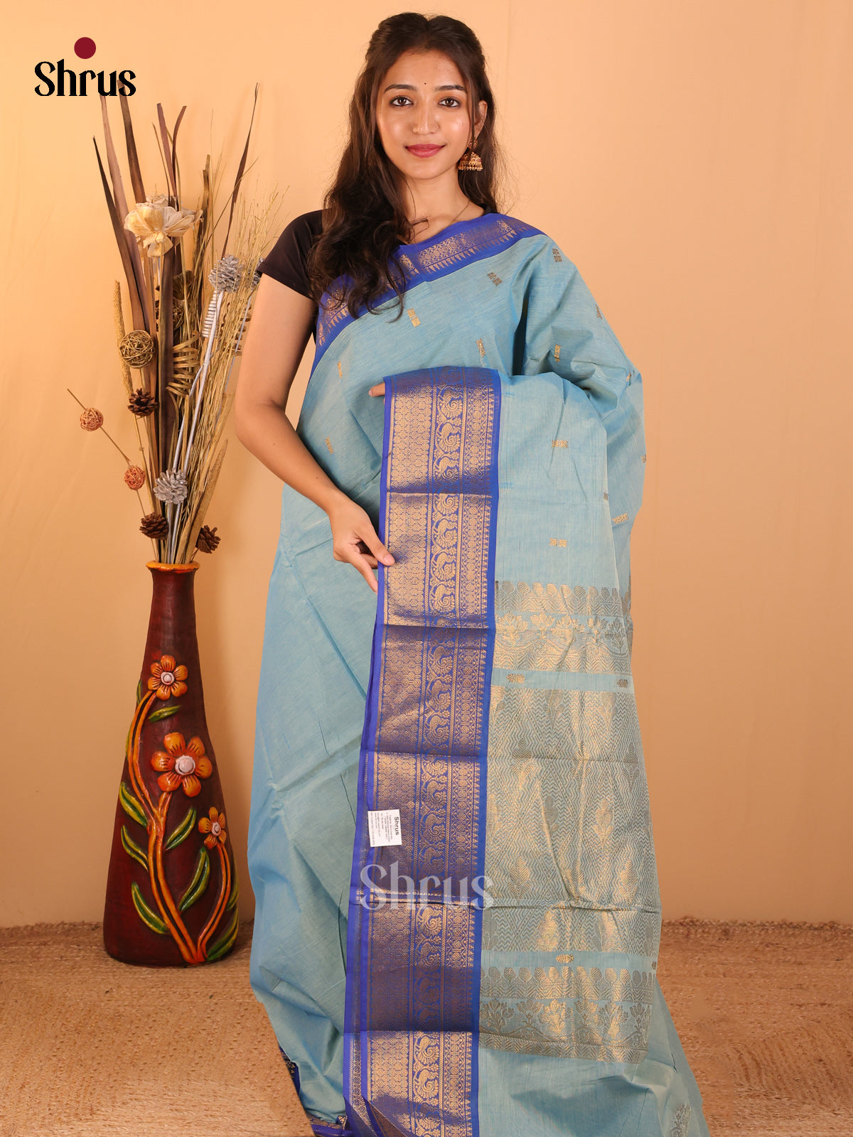 Sky Blue with dark blue - Chettinad saree-DDS05065 - Shop on Shrus.com