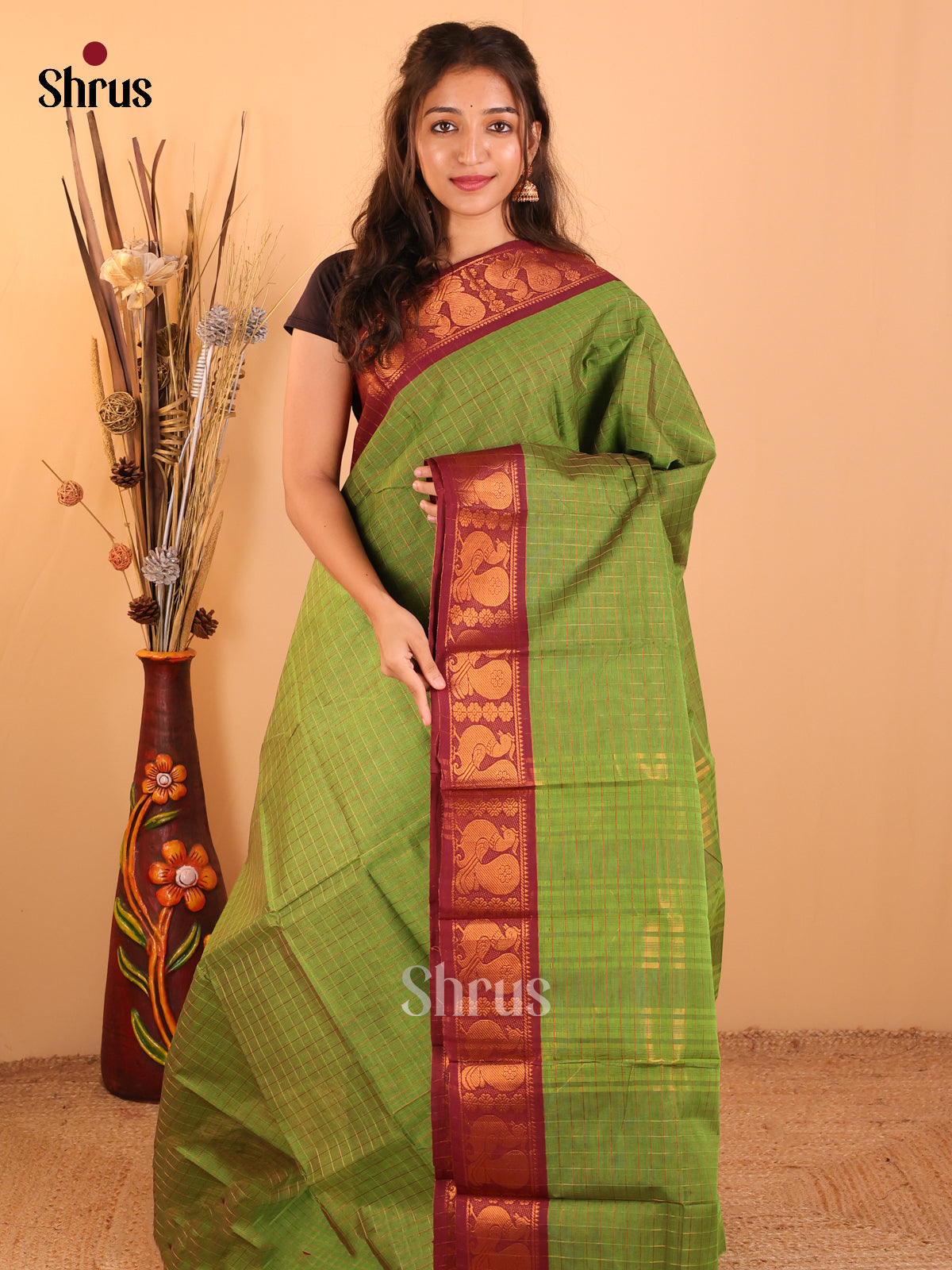 Green with Brown-Chettinad saree -DDS05123 - Shop on Shrus.com