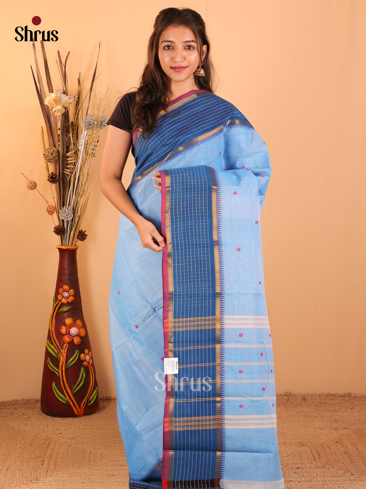 Blue with Peacock Blue - Chettinad saree-DDS05188 - Shop on Shrus.com