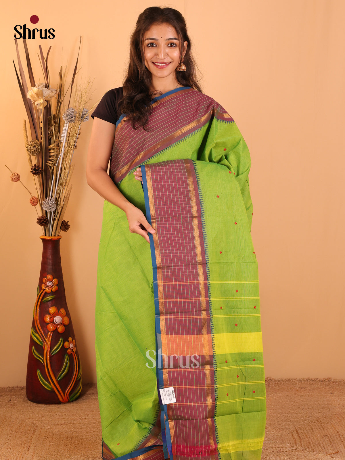 Parrot Green with Peacock blue - Chettinad saree-DDS05193 - Shop on Shrus.com