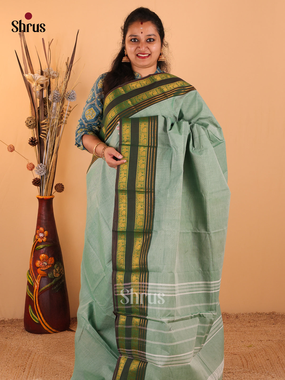 Pastel green with Dark Green - Chettinad Cotton saree - DDS09099 - Shop on Shrus.com