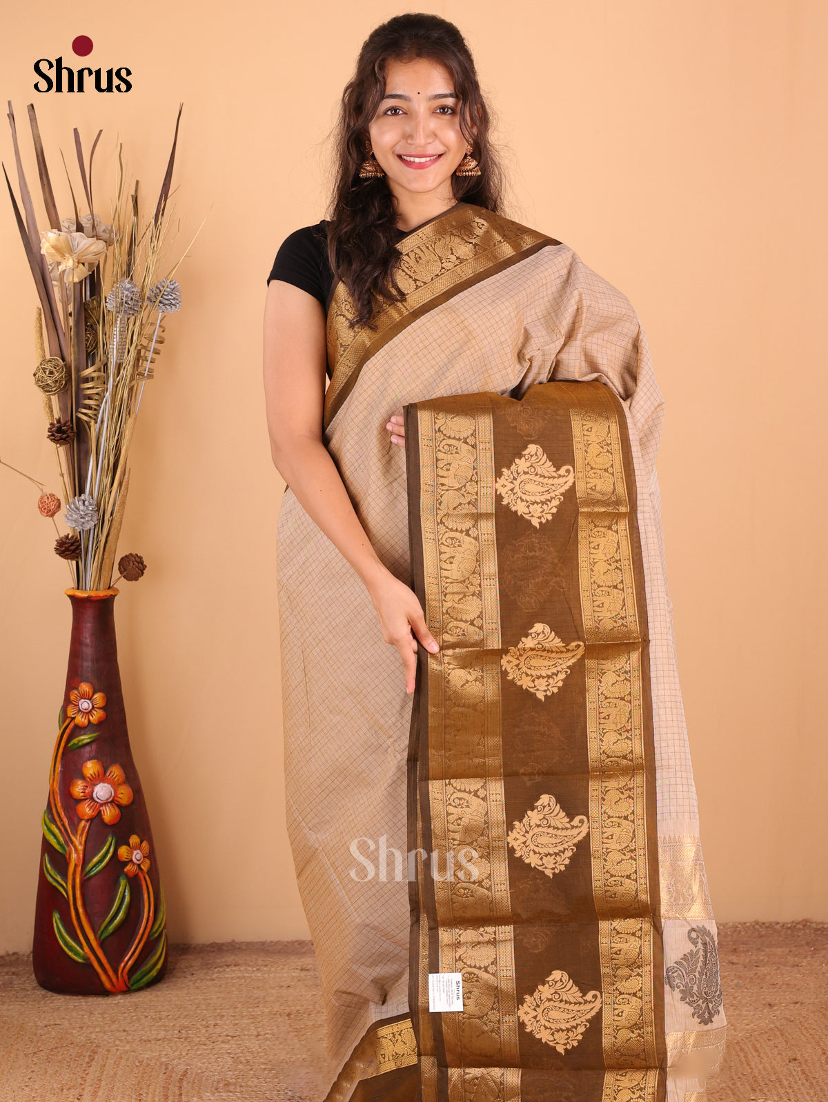 Beige with Coffee Brown - Chettinad Cotton Saree - DDS09351 - Shop on Shrus.com