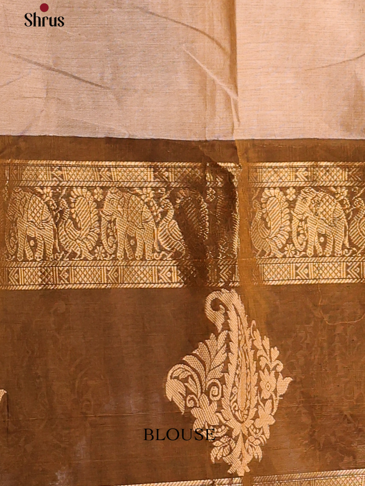 Beige with Coffee Brown - Chettinad Cotton Saree - DDS09351 - Shop on Shrus.com