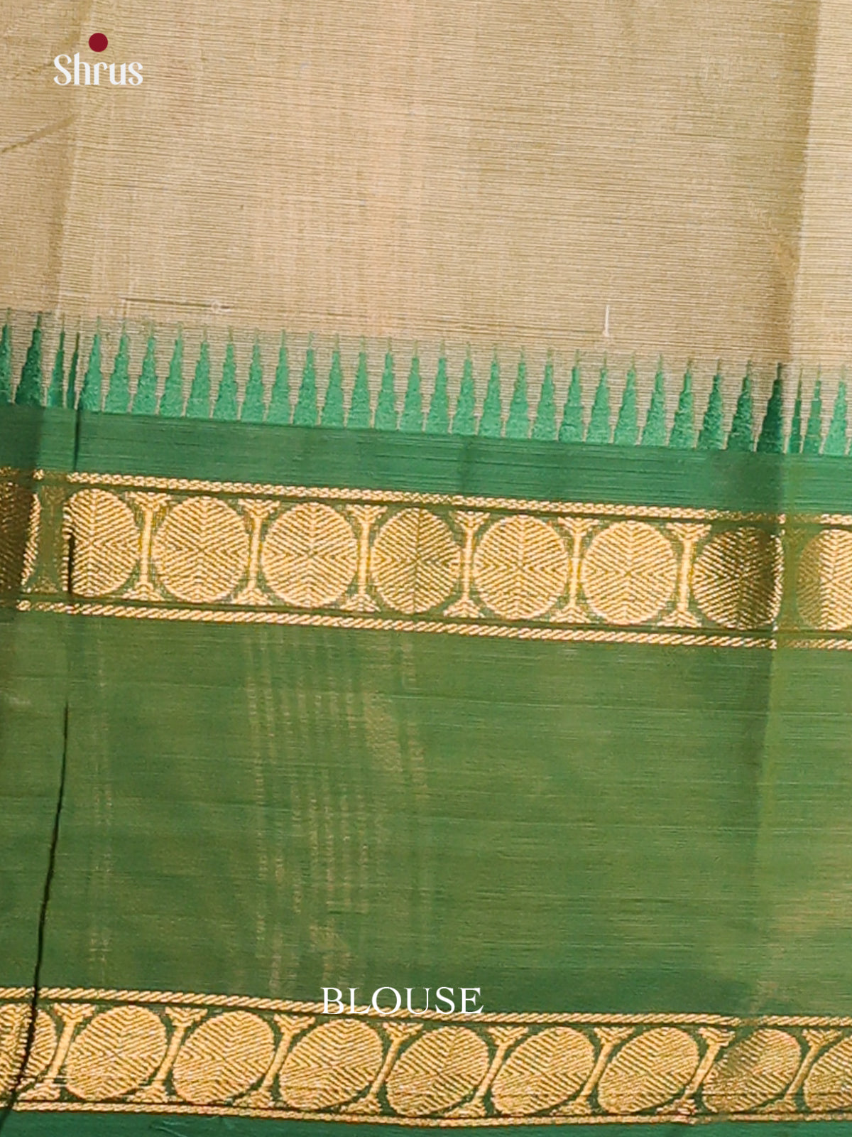 Pastel green with Green & pink Border - Chettinad Cotton Saree - DDS10001 - Shop on Shrus.com
