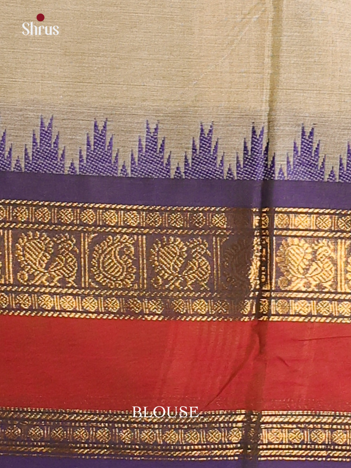 Pastel green with Royal blue - Chettinad Cotton Saree - DDS10050 - Shop on Shrus.com