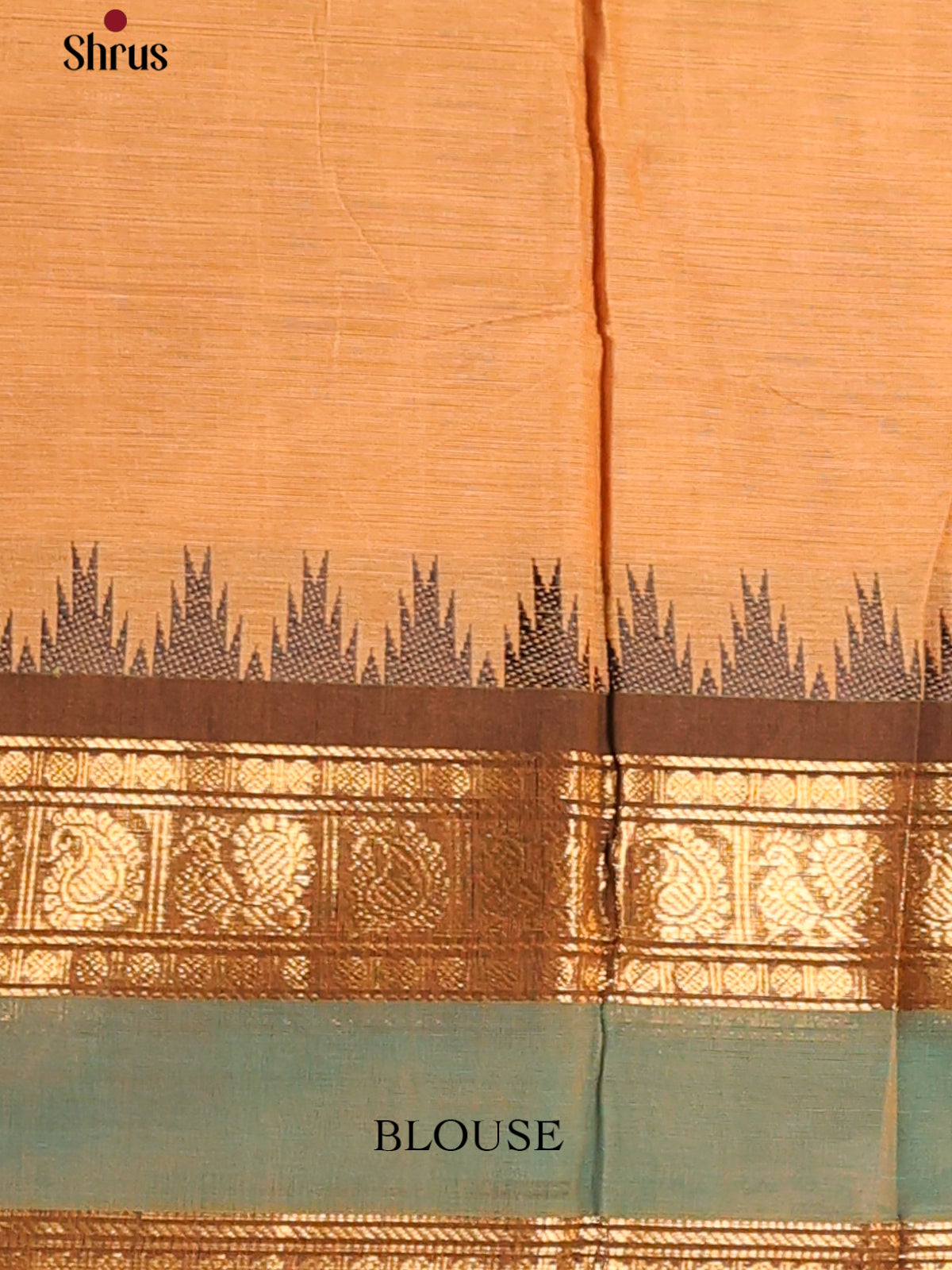 Light brown with Dark Brown - Chettinad Cotton Saree - DDS10051 - Shop on Shrus.com