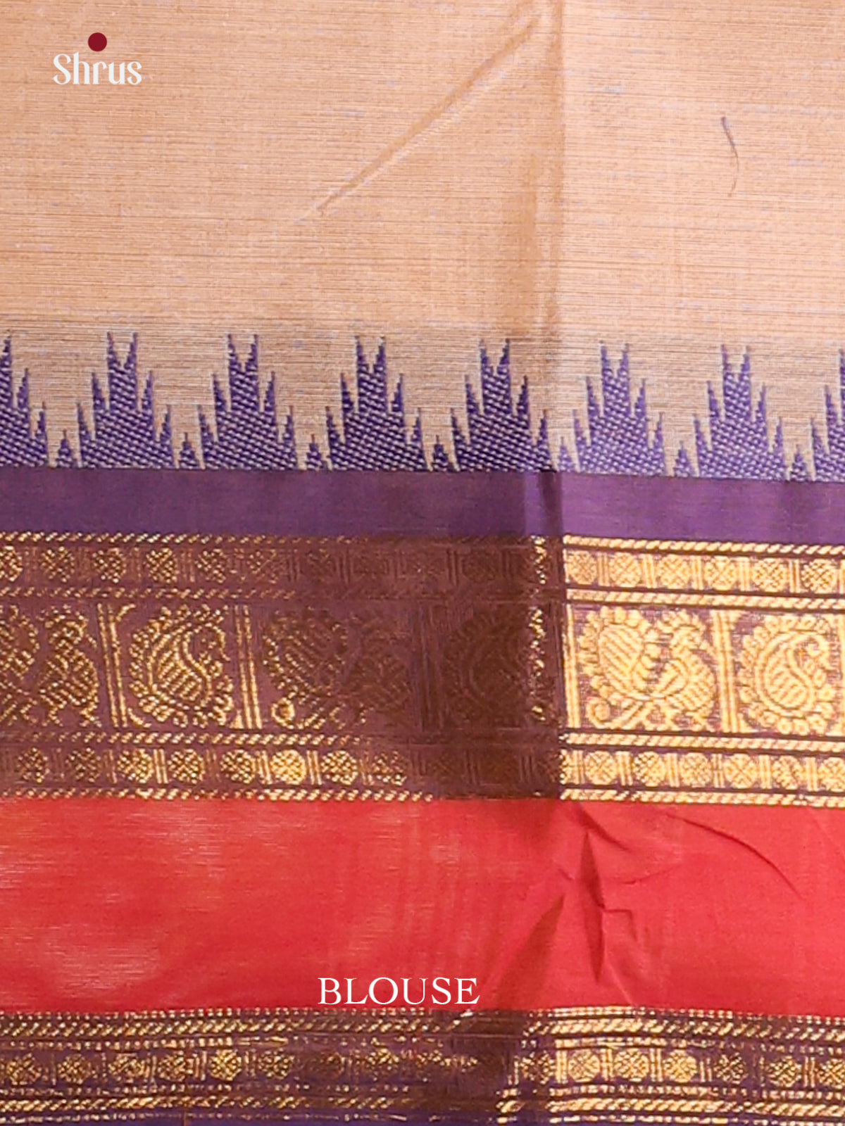 Beige with Violet - Chettinad Cotton Saree - DDS10052 - Shop on Shrus.com